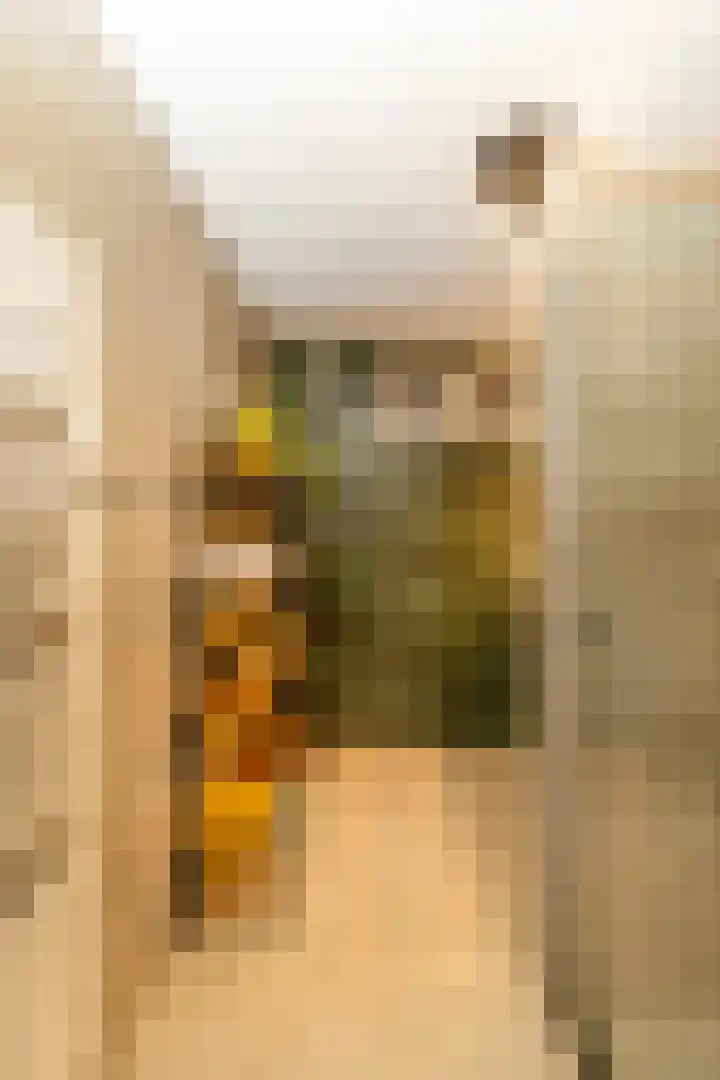 Binderseind 11 Gemert thumbnail 13