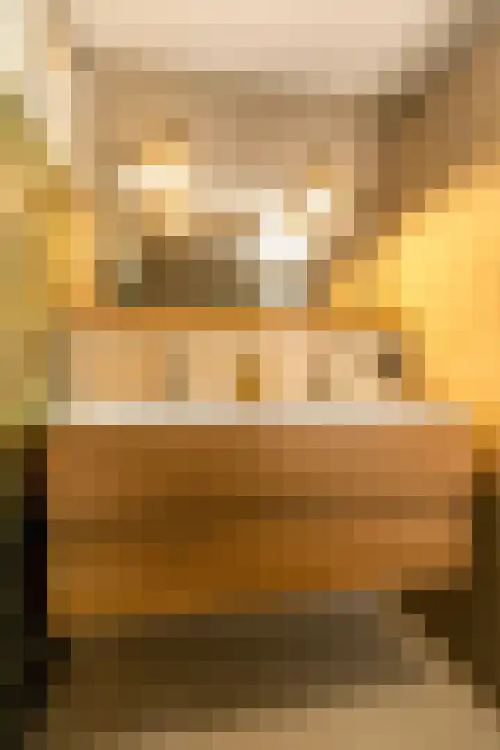 Binderseind 11 Gemert thumbnail 14