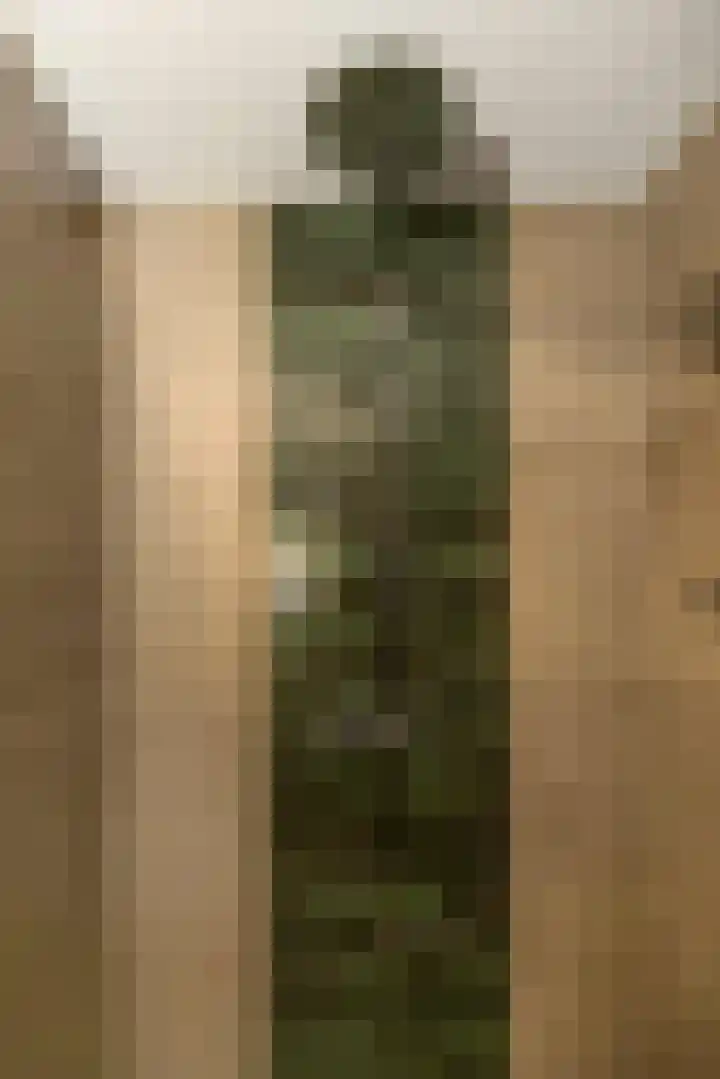 Binderseind 11 Gemert thumbnail 15