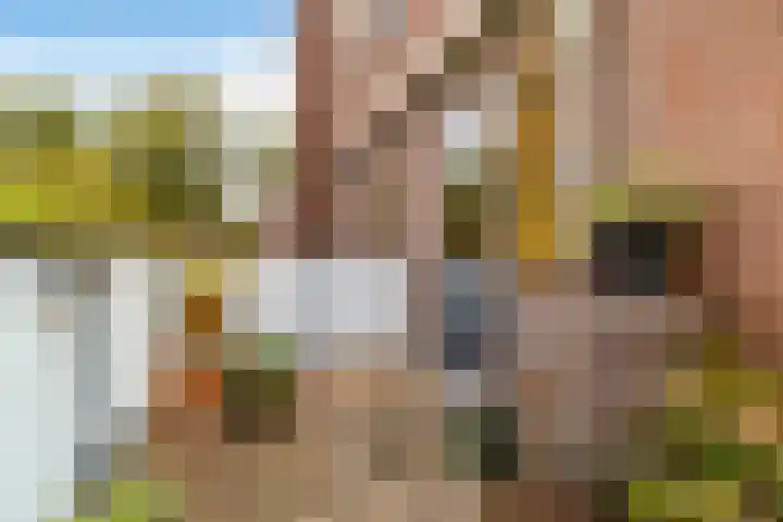 Binderseind 11 Gemert thumbnail 17