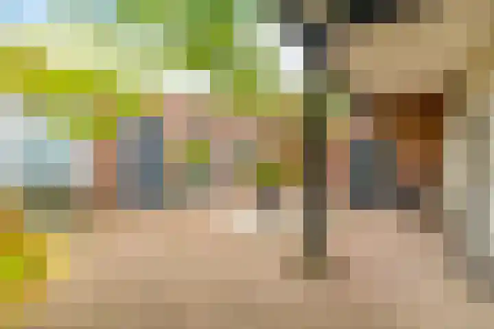 Binderseind 11 Gemert thumbnail 22