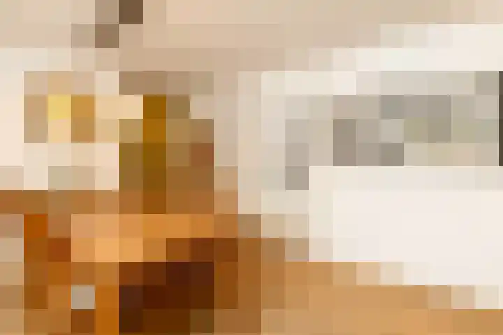 Binderseind 11 Gemert thumbnail 5