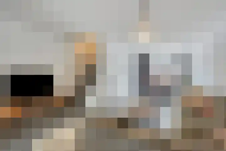 Bindersestraat 27 Helmond thumbnail 10