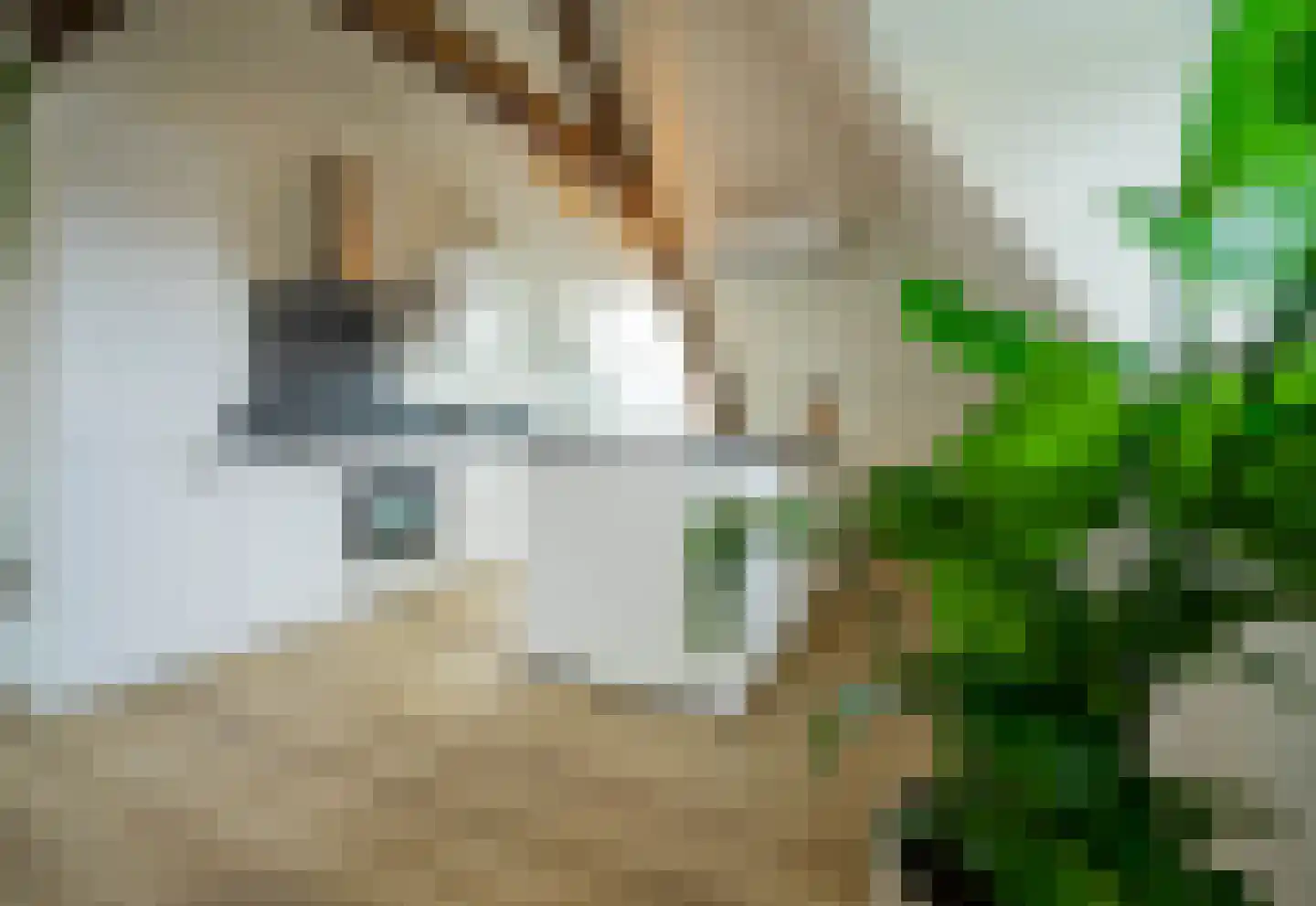 Bindersestraat 4 C Helmond thumbnail 24