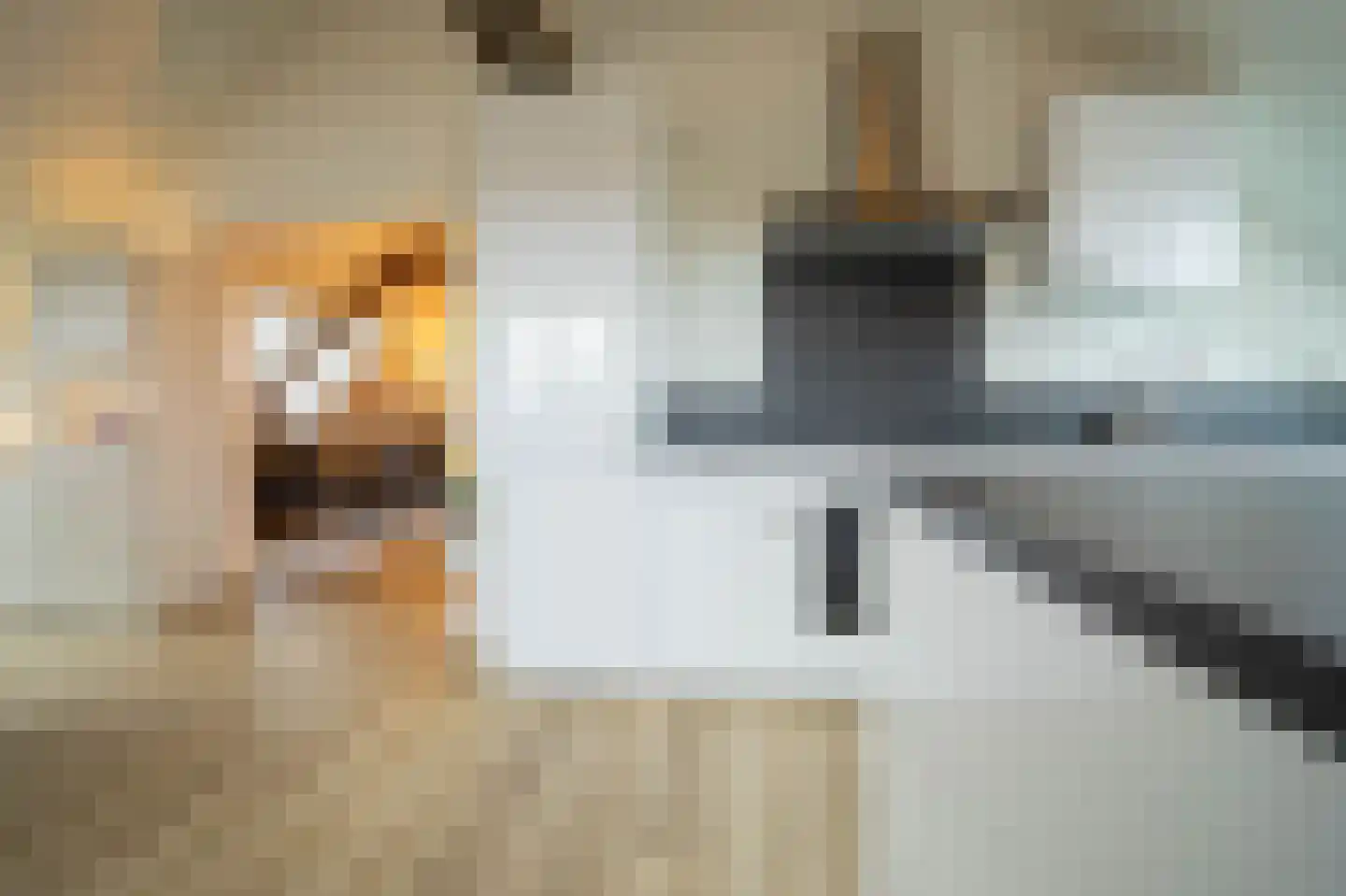 Bindersestraat 4 C Helmond thumbnail 25