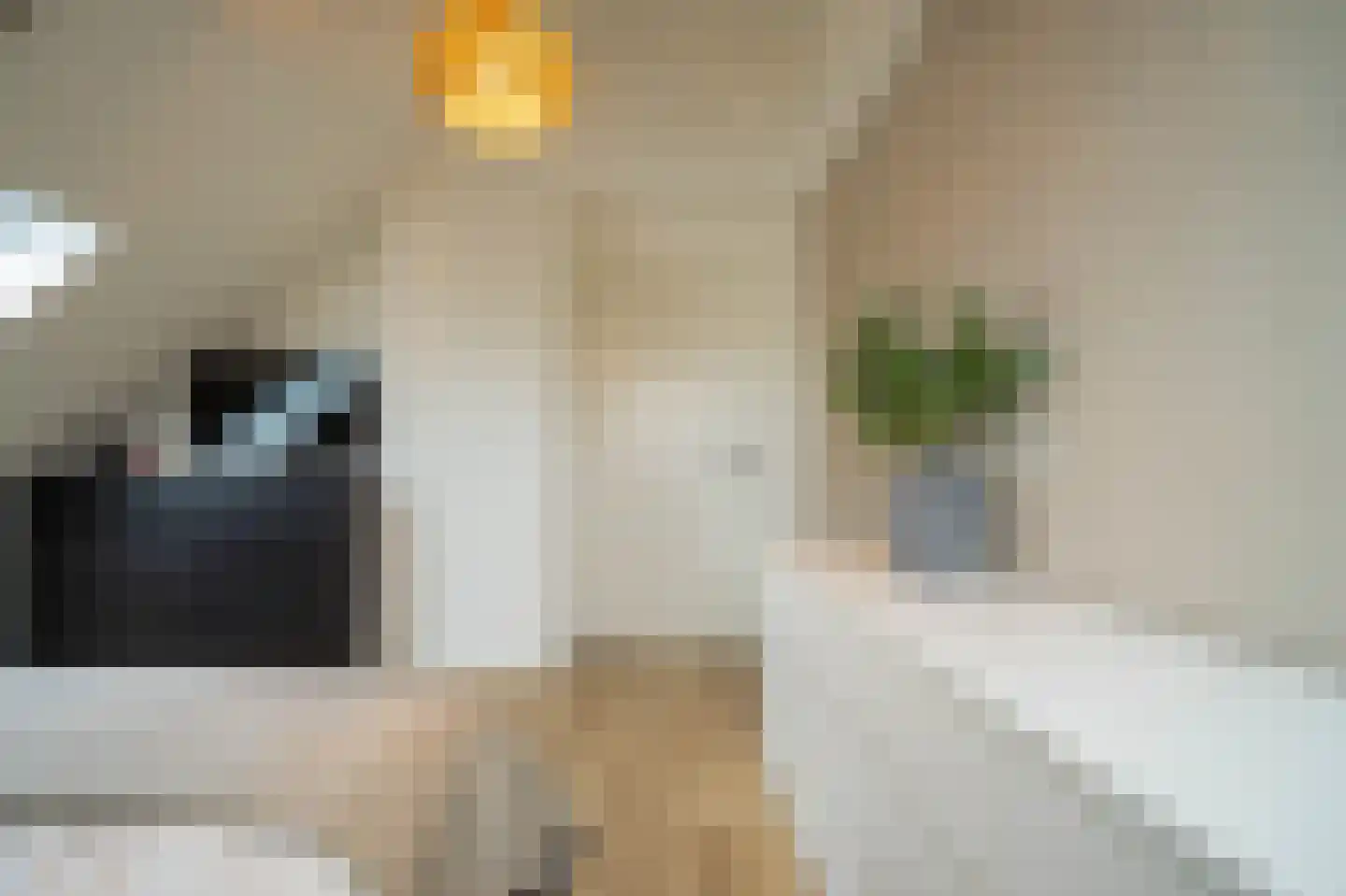 Bindersestraat 4 C Helmond thumbnail 35