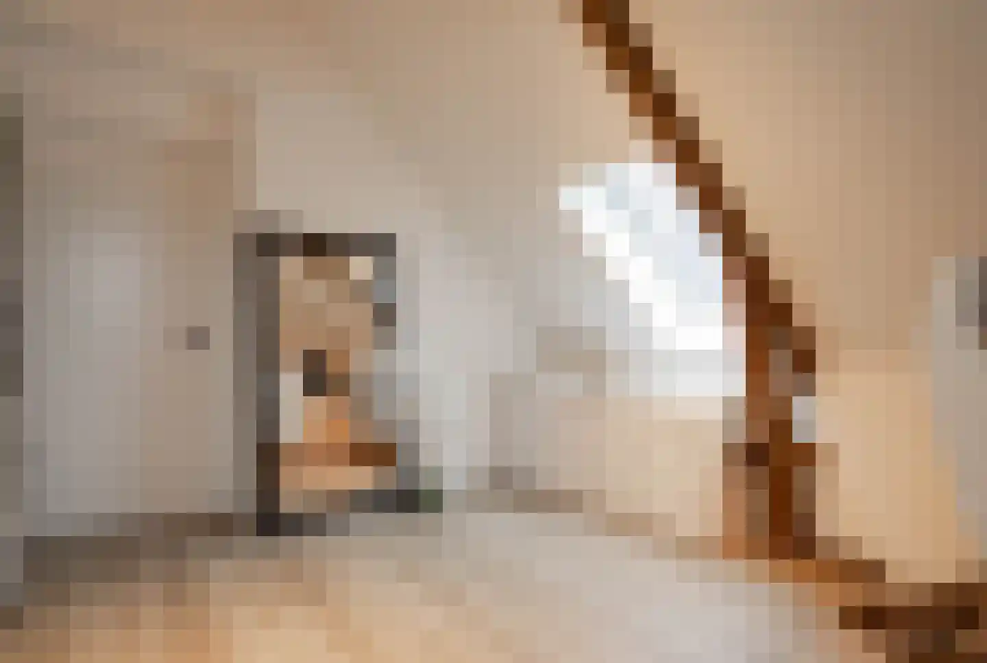 Bindersestraat 4 C Helmond thumbnail 37