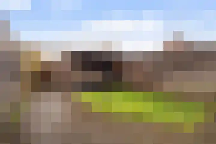 Bindert Japiksstrjitte 9 Drogeham thumbnail 17