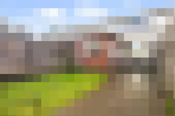 Bindert Japiksstrjitte 9 Drogeham thumbnail 19