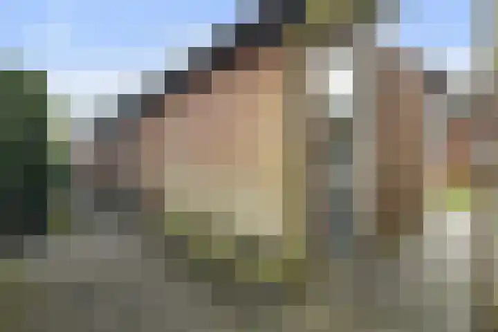 Bindert Japiksstrjitte 9 Drogeham thumbnail 21