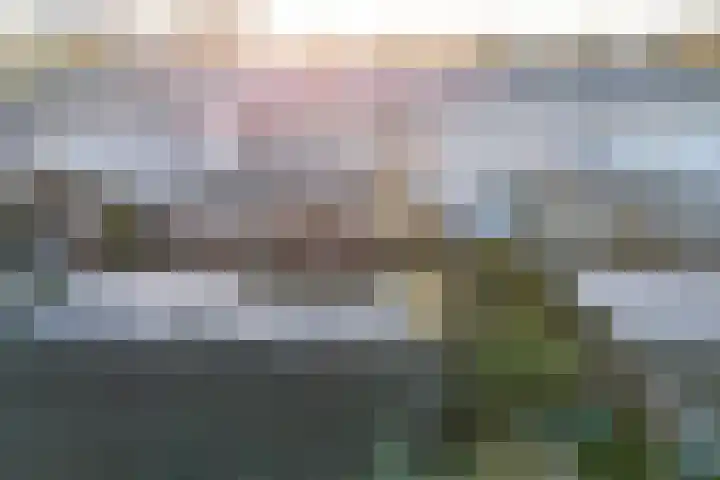 Bindert Japiksstrjitte 9 Drogeham thumbnail 34