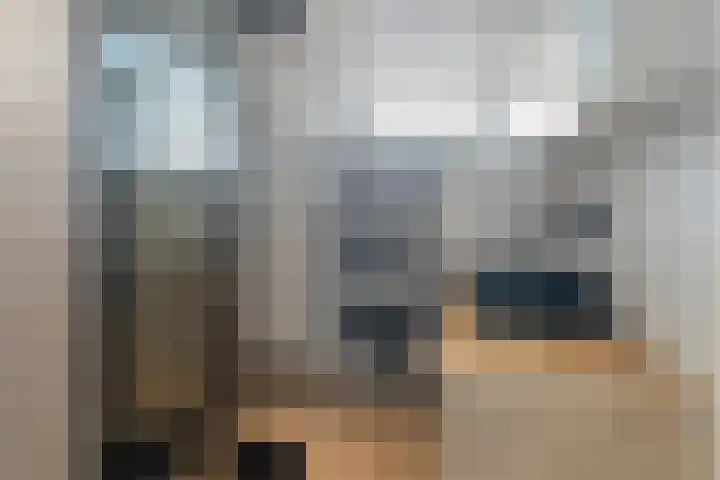 Bindert Japiksstrjitte 9 Drogeham thumbnail 4