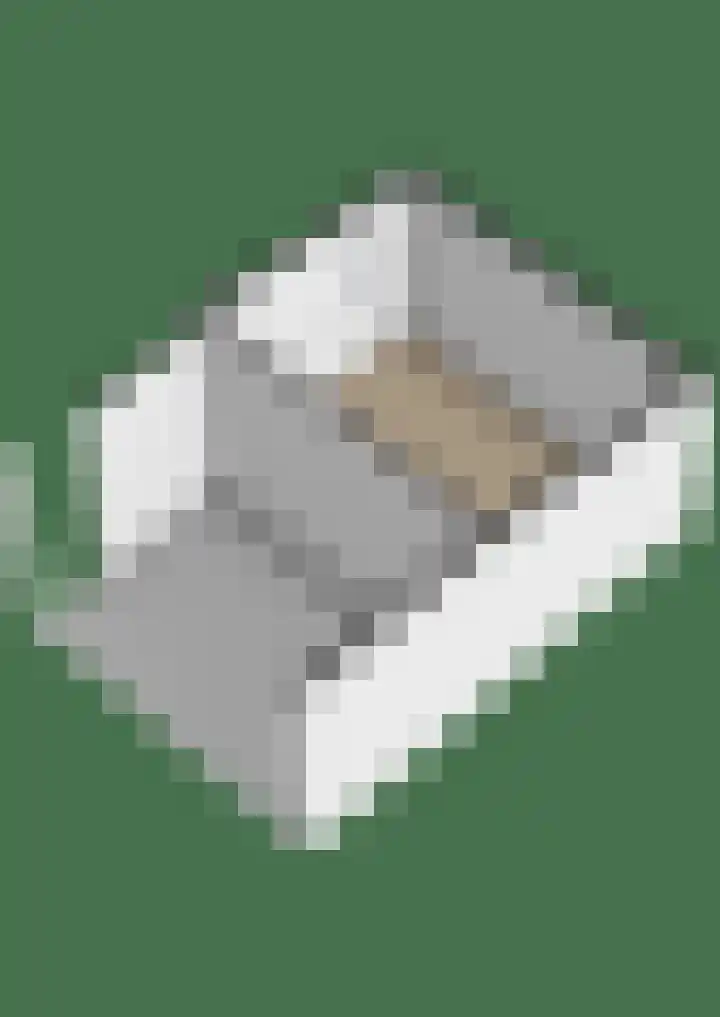 Bindert Japiksstrjitte 9 Drogeham thumbnail 41