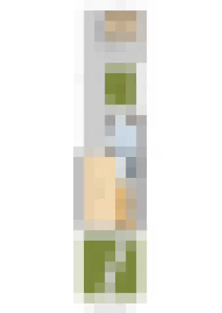 Bindert Japiksstrjitte 9 Drogeham thumbnail 42