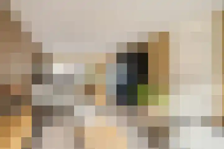 Bindweg 5 a Lemele thumbnail 10