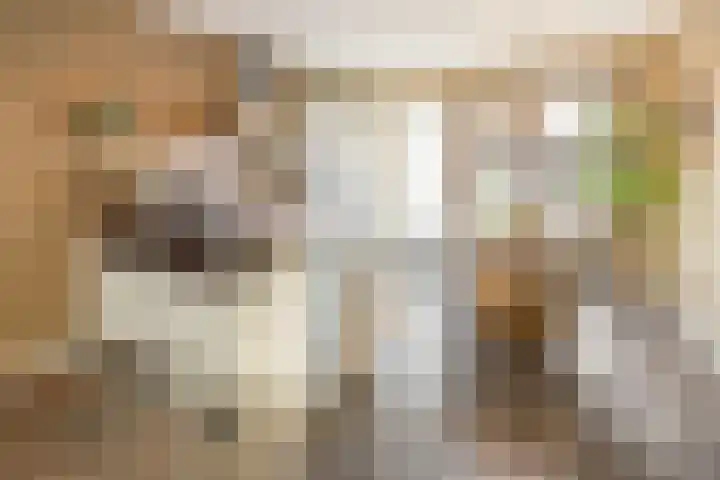 Bindweg 5 a Lemele thumbnail 12