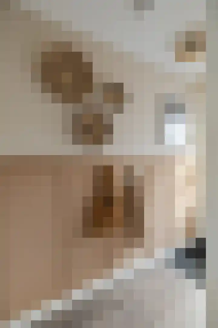 Bindweg 5 a Lemele thumbnail 14