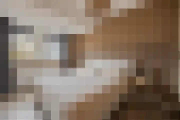 Bindweg 5 a Lemele thumbnail 18