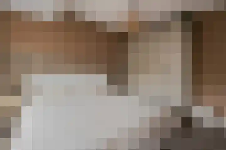 Bindweg 5 a Lemele thumbnail 19