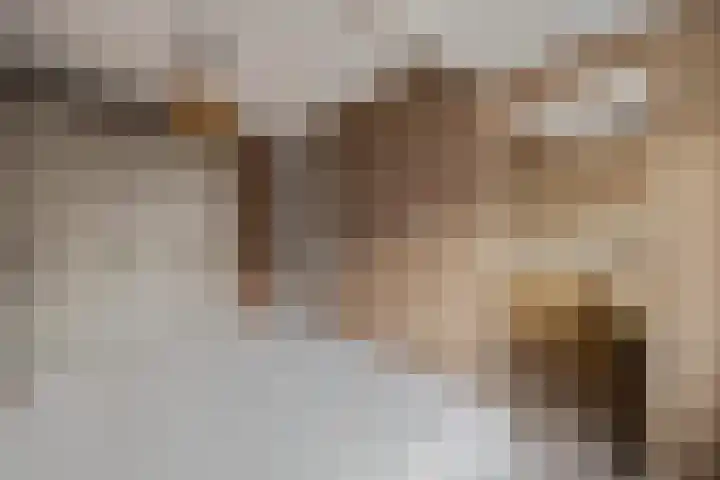Bindweg 5 a Lemele thumbnail 20