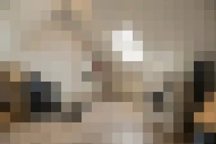 Bindweg 5 a Lemele thumbnail 29