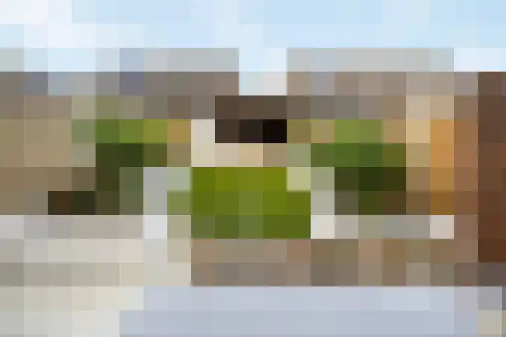 Bindweg 5 a Lemele thumbnail 30