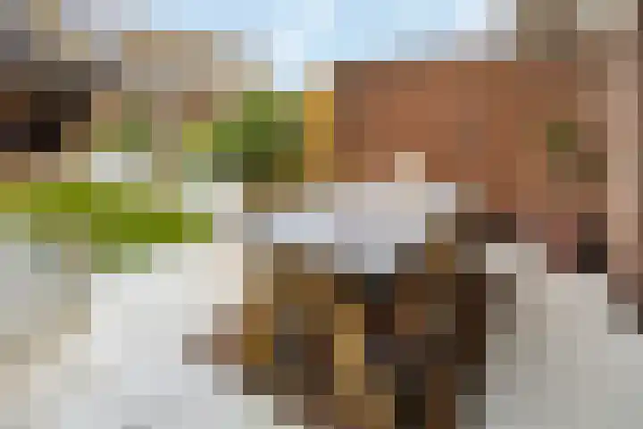 Bindweg 5 a Lemele thumbnail 31