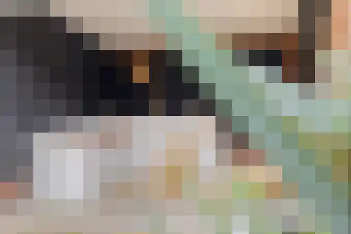 Bindweg 5 a Lemele thumbnail 34