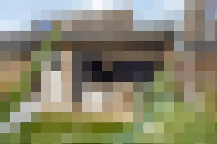 Bindweg 5 a Lemele thumbnail 35