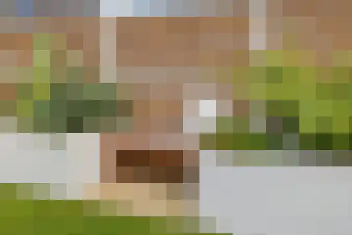Bindweg 5 a Lemele thumbnail 36