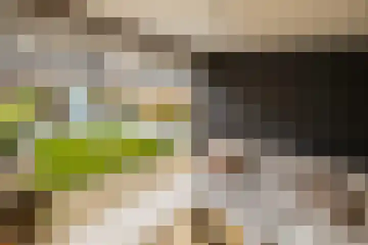 Bindweg 5 a Lemele thumbnail 6