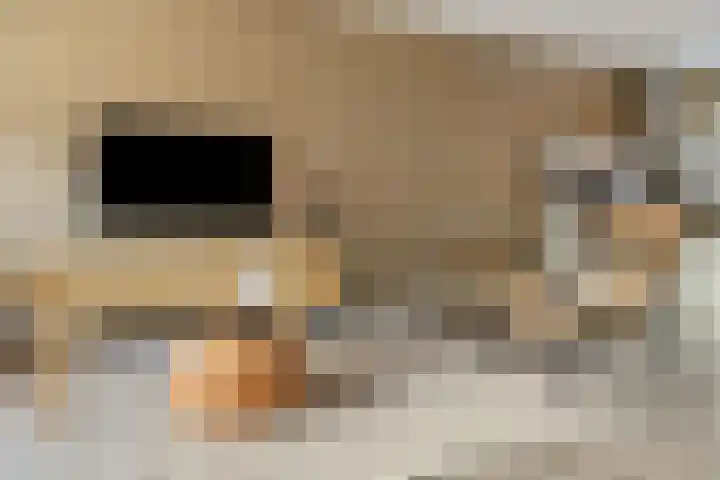 Bindweg 5 a Lemele thumbnail 9