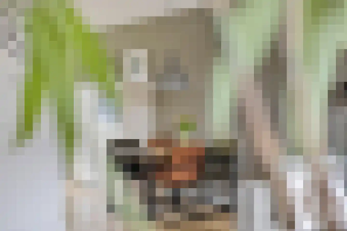 Bindwilg 17 Kampen thumbnail 13