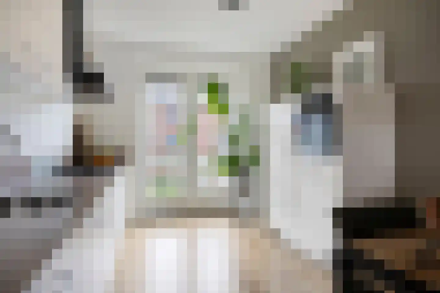 Bindwilg 17 Kampen foto 3