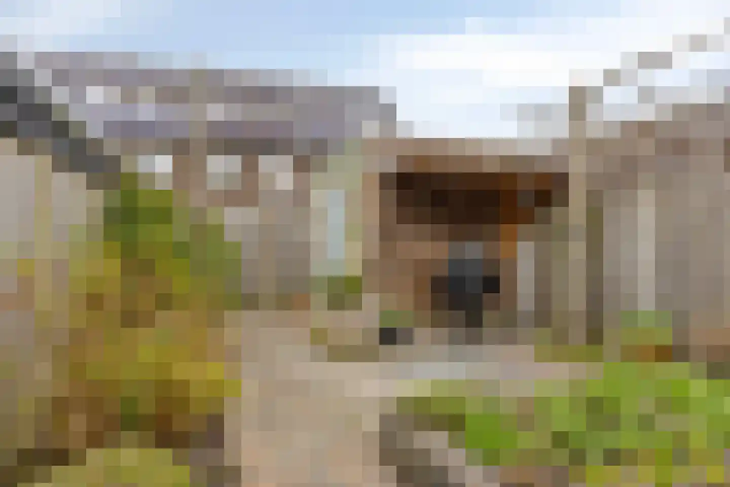 Bindwilg 17 Kampen thumbnail 30