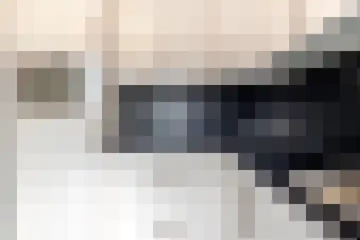 Bindwilg 17 Kampen thumbnail 33