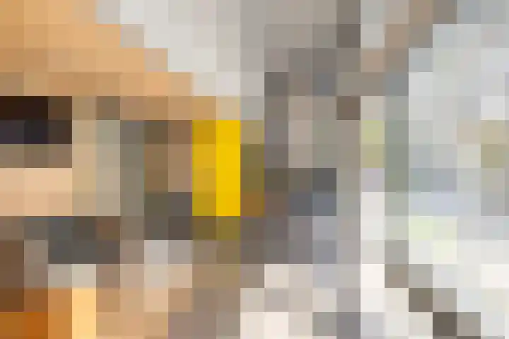 Bindwilg 17 Kampen thumbnail 9