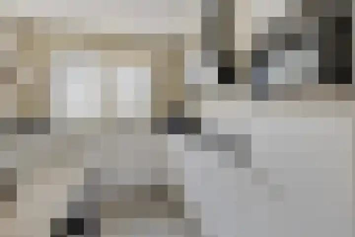 Bindwilg 5 Kampen thumbnail 10
