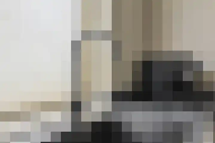Bindwilg 5 Kampen thumbnail 11