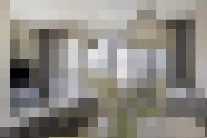 Bindwilg 5 Kampen thumbnail 12