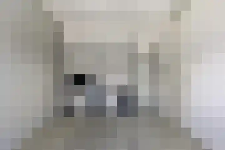 Bindwilg 5 Kampen thumbnail 14