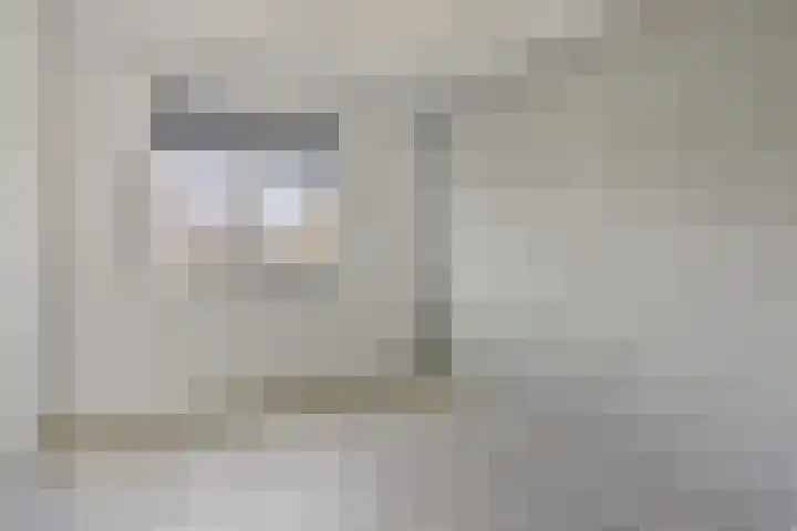 Bindwilg 5 Kampen thumbnail 15