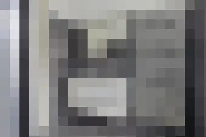 Bindwilg 5 Kampen thumbnail 17