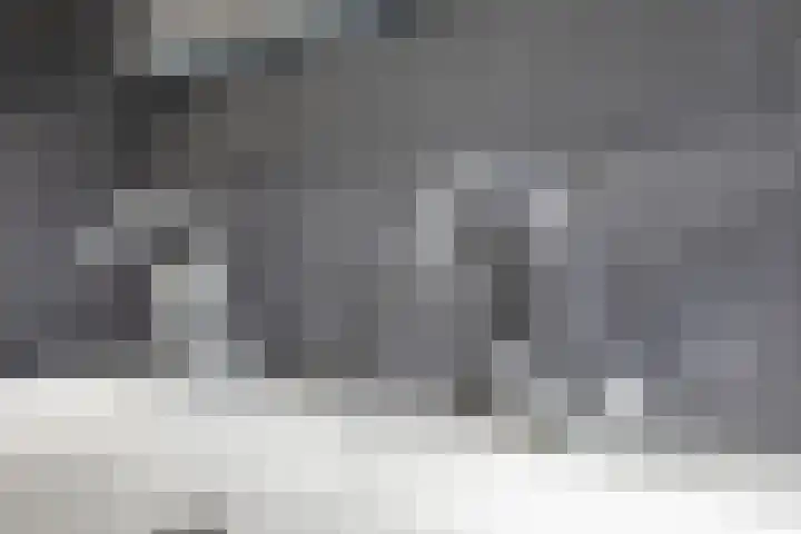 Bindwilg 5 Kampen thumbnail 18