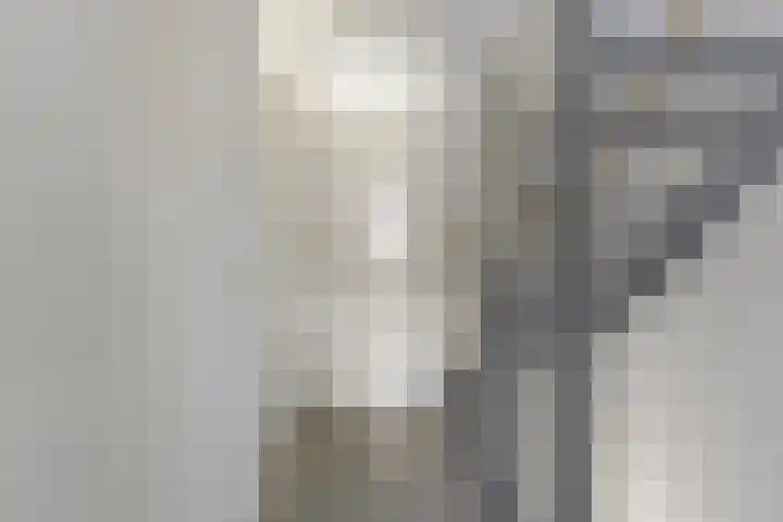Bindwilg 5 Kampen thumbnail 22