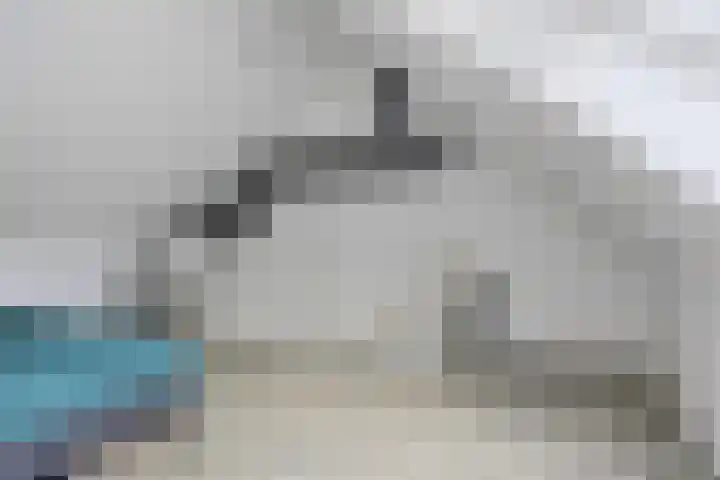Bindwilg 5 Kampen thumbnail 24