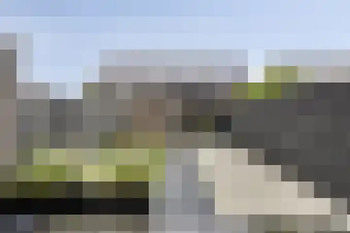 Bindwilg 5 Kampen thumbnail 25