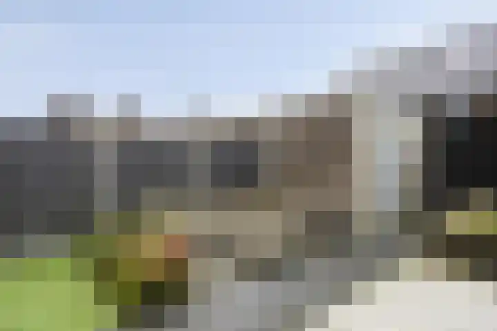 Bindwilg 5 Kampen thumbnail 26