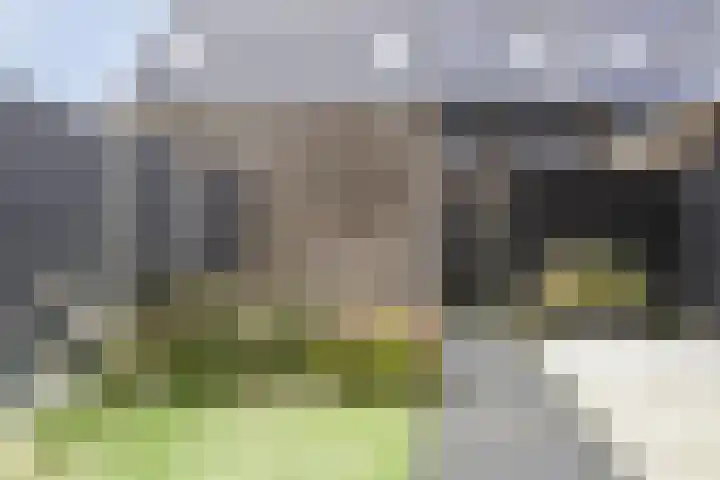 Bindwilg 5 Kampen thumbnail 27