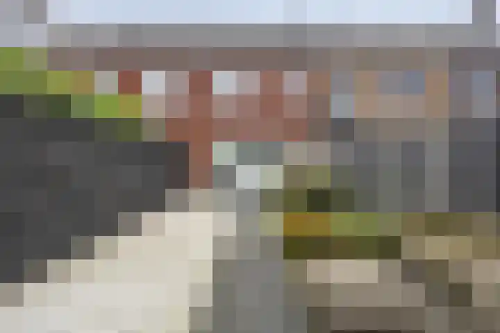 Bindwilg 5 Kampen thumbnail 28